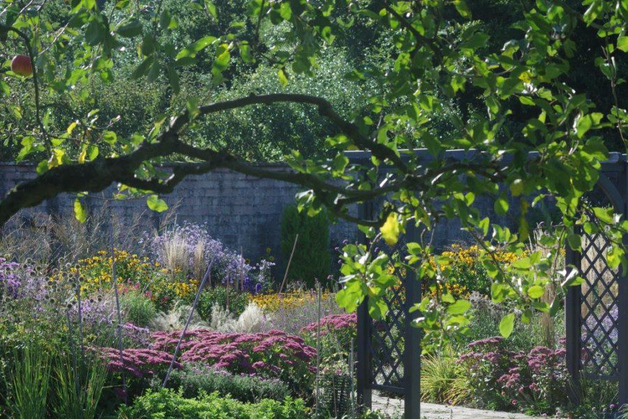 Ripon Walled Garden borders